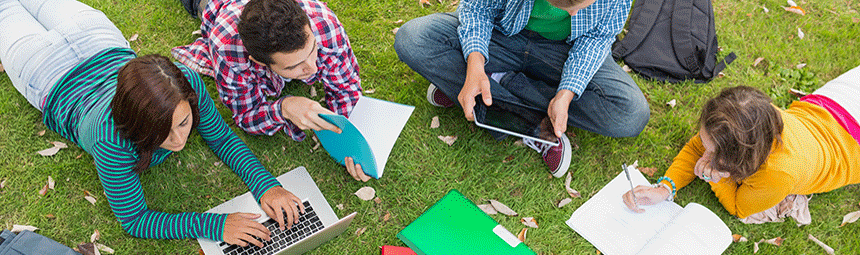 Students studying outside